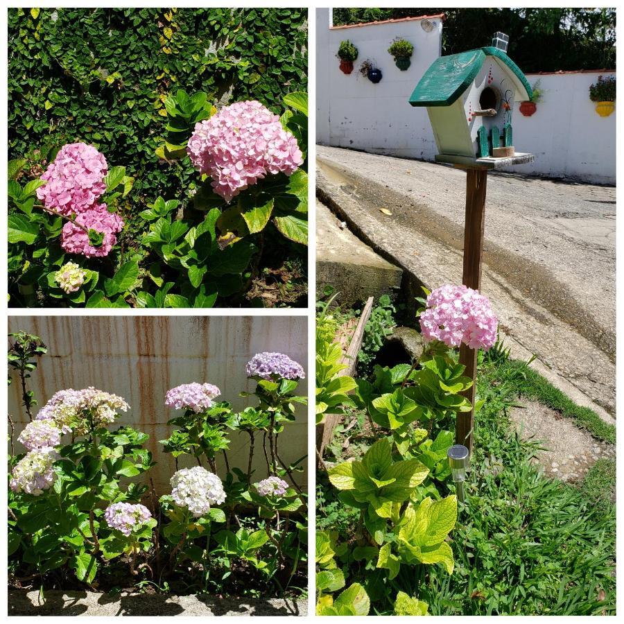 Pousada Das Hortensias Conservatória Exterior foto